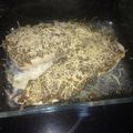 El cooksnap de Carlos Esteban Aguilar cuando hizo Merluza gratinada con pesto.