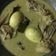 Cooksnap dari Indri Wulandari untuk resep Opor ayam