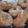 El cooksnap de roxana pereyra cuando hizo Rosquitas súper fáciles.