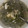 Cooksnap dari Sandra_rif untuk resep Sayur Kuah Daun Ginseng