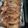 El cooksnap de Grace M. cuando hizo Rollo de carne.