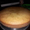 El cooksnap de veeri.j cuando hizo Bizcochuelo de vainilla.