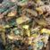 Rekha Vora's cooksnap of when they made ભીંડા બટાકા નું શાક (Bhinda Bataka Shak Recipe In Gujarati).