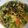 Cooksnap dari Debby untuk resep Gulai Daun Singkong Rebon