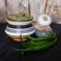 Dr. Pushpa Dixit's cooksnap of when they made મહારાષ્ટ્રીયન ઠેચા (Maharashtrian Thecha Recipe In Gujarati).