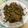 莊玉雯 的 蔥爆豬肉片 cooksnap