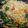 Margie Rugush's cooksnap of when they made Noodles with vegetable#vegetable contest.