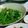 Mollie 的 豆腐乳炒空心菜 cooksnap