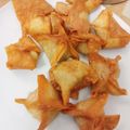 Cooksnap dari fitri shakilla untuk resep Pangsit Goreng Isi Daging Sapi