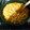 El cooksnap de juantxo cuando hizo Espaguetis con verdura salteada y soja.