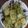 Deepti Johri's cooksnap of when they made Chilli Garlic Peanut Chutney/ Hari Mirch Aur Badam ki Chutney with Pakoda.