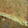 El cooksnap de lamapa cuando hizo Tarta de chaucha y brócoli con masa licuada 💚.