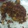 Cooksnap dari Miru untuk resep Ayam goreng lengkuas