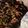 Cooksnap de Chris quando cozinhou Percebes Cozidos.