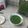 Saadia Ehtasham's cooksnap of when they made Green Chutney.