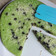 Cooksnap dari Dhya untuk resep 161. Kue Pukis Lembutt....dan menul (ide jualan)