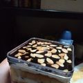 Cooksnap dari Dyta Ardy untuk resep Mocha cake&peanut cream with ganache