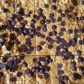 Kristina K's cooksnap of when they made No Bake Peanut Butter Granola Bars.