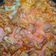 Cooksnap dari erlinda untuk resep Lodeh Nangka Muda (Ceker + Krecek)