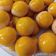 Cooksnap dari Susi Ria Zulfina untuk resep Nastar lumer Tintin Rayner