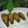 Monika gupta 's cooksnap of when they made Stuffed karela.