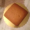 El cooksnap de Anastasia Rivas cuando hizo Torta de vainilla sencilla.