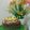 Cooksnap dari ummu hanaan untuk resep Brownies kukus chocolatos