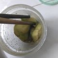 Cooksnap của Phụng Nghi khi họ làm theo món Xoài lắc ngon chảy nước miếng ☀