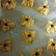 Cooksnap dari Asih untuk resep Kue Semprit jadul.. Pas buat Lebaran. Bahan simpel di jamin Reny
