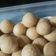Cooksnap dari khaylila untuk resep Tahu Bulat