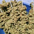 Cooksnap dari Fitalokafiska untuk resep Sate Usus Ala Angkringan