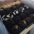 Cooksnap dari Wulan Suci untuk resep Fudgy Brownies Sekat Panggang