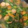 Cooksnap dari Dinar Medyawati untuk resep Sapo Tofu Udang