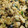 El cooksnap de Camilo Restrepo cuando hizo Quinoa con verduras y curry express.