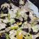 Cooksnap dari Michelle Jocelyn Aletta untuk resep Cap cay sayur jamur kuping