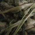 Cooksnap dari Windi Listya untuk resep Toping Mie Ayam