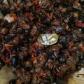 Cooksnap dari Poepoet Raghiel untuk resep Bekicot oseng mercon