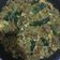 Cooksnap dari Jayanti Putri K. untuk resep Mie Dokdok Simple ala Burjo