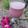 Beena Radia's cooksnap of when they made ગુલકંદ મિલ્ક શેક.(Gulkand Milk Shake).