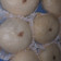 Cooksnap dari Karima Pratiwi untuk resep Bak Pau