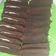 Cooksnap dari Rhaffa Azka untuk resep Brownies Amanda