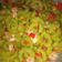 Cooksnap dari Wpn Ningrum untuk resep Tumis Pare Udang (Anti Pahit)