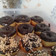 Cooksnap dari Kikie Ayoe untuk resep Donat Kentang Tanpa Ulen (Anti gagal)