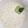 El cooksnap de Irene-Guirao cuando hizo Tzatziki (salsa de yogur).