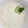 El cooksnap de Irene-Guirao cuando hizo Tzatziki (salsa de yogur).