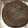 Cooksnap dari koenyitz untuk resep Sachertorte atau Sacher Cake