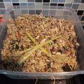 Cooksnap dari Sukma_Cuisine untuk resep Pampis Tuna