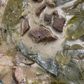 Cooksnap dari Wulansari Wandya untuk resep Nasi Pindang Kudus sederhana step by step 
