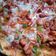 Anamta Azeem's cooksnap of when they made Pizza.