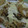 Cooksnap dari Didik Wicaksono untuk resep Cheesy Mushy